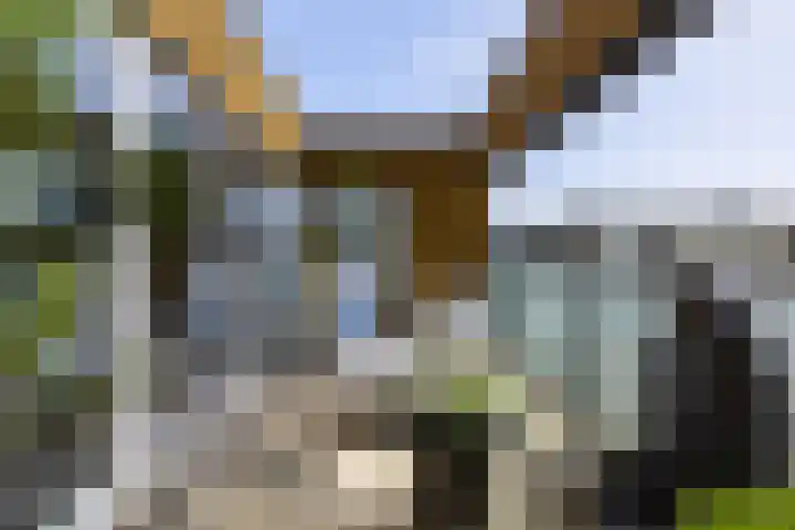 Bramenlaan 364 Bentveld thumbnail 9