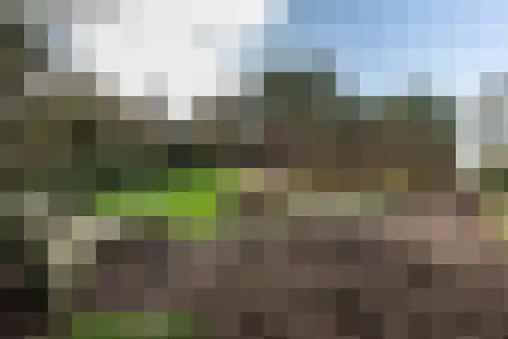 Bramenlaan 6 d Bentveld thumbnail 10