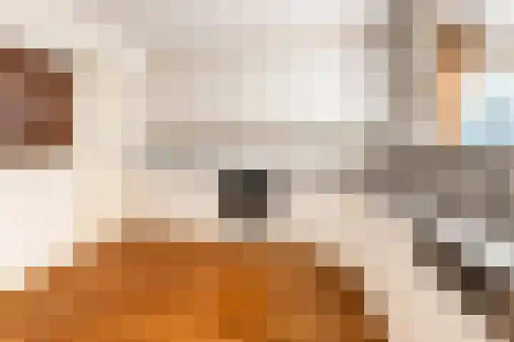Bramenlaan 6 d Bentveld thumbnail 23