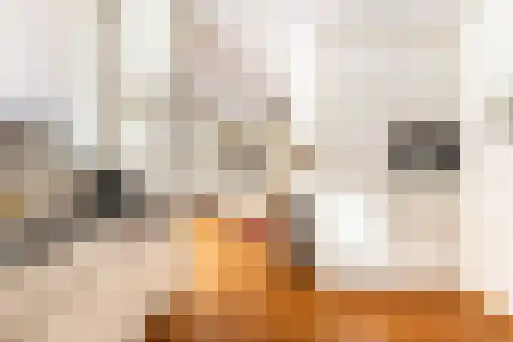Bramenlaan 6 d Bentveld thumbnail 25