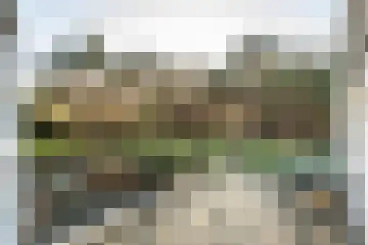 Bramenlaan 6 d Bentveld thumbnail 28
