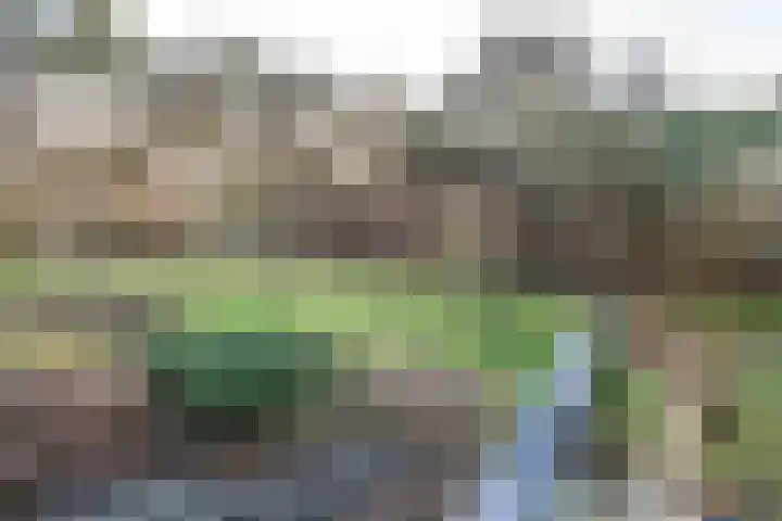 Bramenlaan 6 d Bentveld thumbnail 29