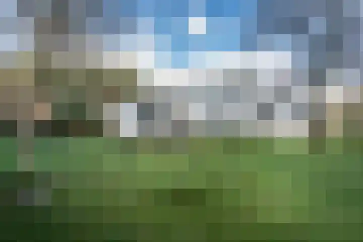 Bramenlaan 6 d Bentveld foto 3