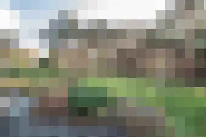 Bramenlaan 6 d Bentveld thumbnail 30