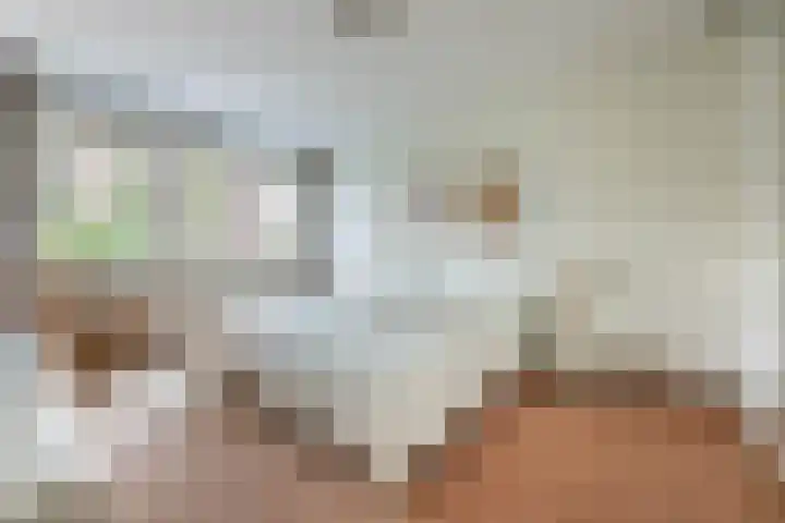 Bramenlaan 6 d Bentveld thumbnail 32
