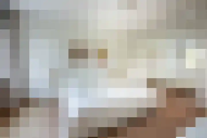 Bramenlaan 6 d Bentveld thumbnail 33