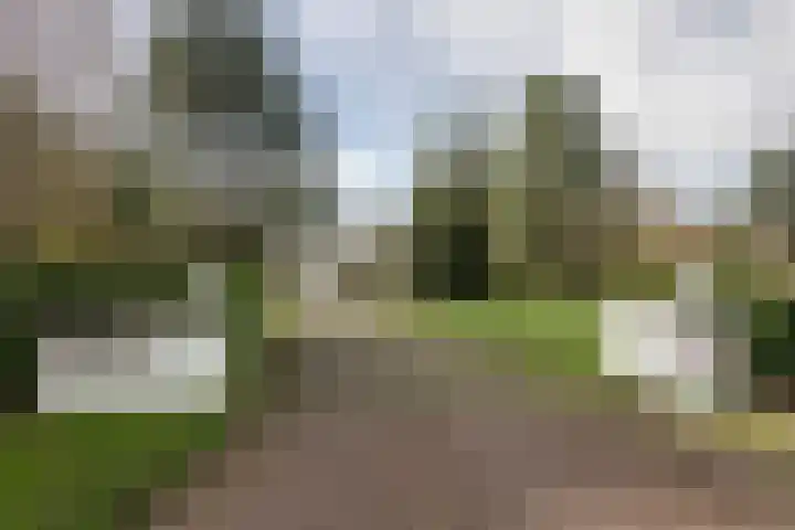 Bramenlaan 6 d Bentveld thumbnail 4