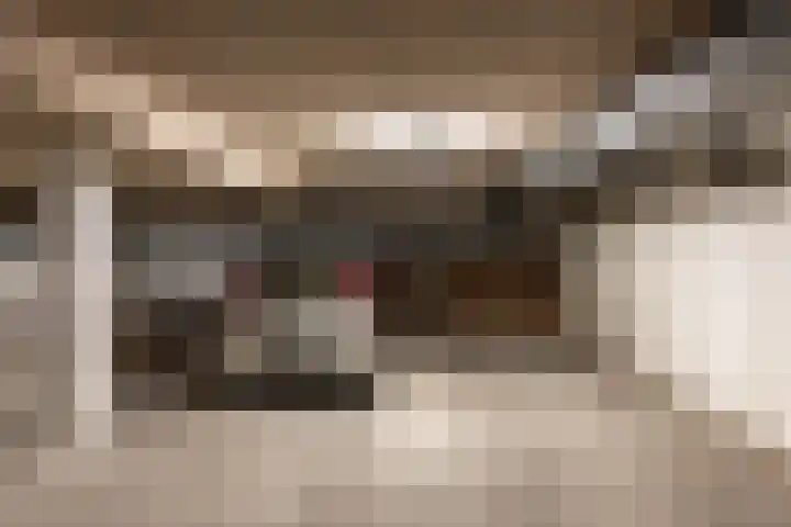 Bramenlaan 6 d Bentveld thumbnail 42