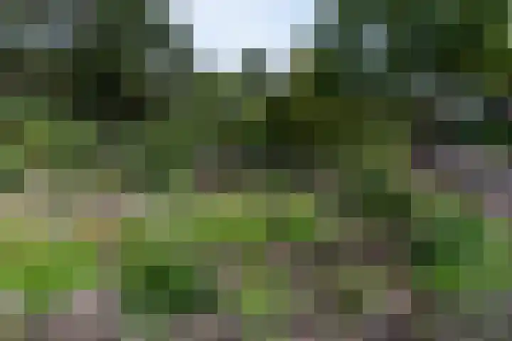 Bramenlaan 6 d Bentveld thumbnail 44