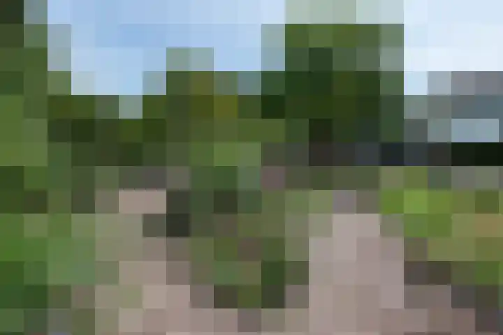 Bramenlaan 6 d Bentveld thumbnail 45
