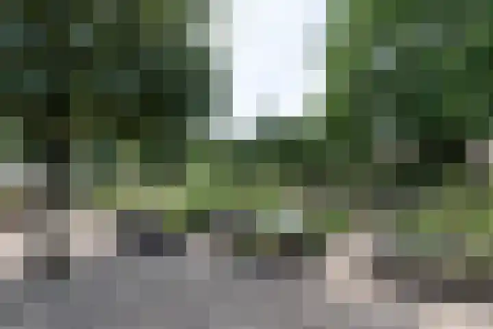 Bramenlaan 6 d Bentveld thumbnail 46