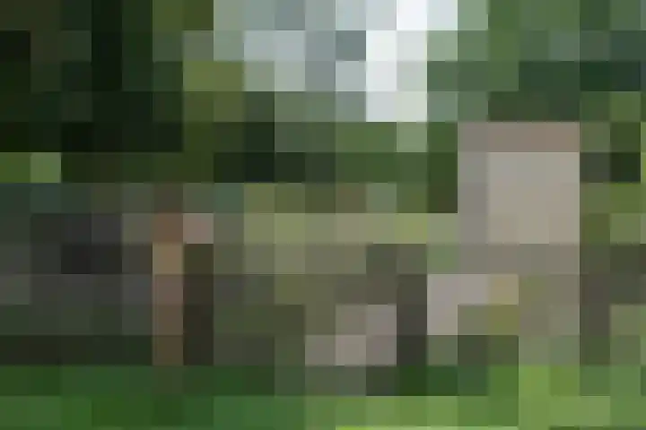 Bramenlaan 6 d Bentveld thumbnail 47