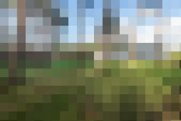 Bramenlaan 6 d Bentveld thumbnail 5