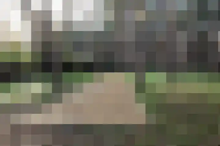Bramenlaan 6 d Bentveld thumbnail 6