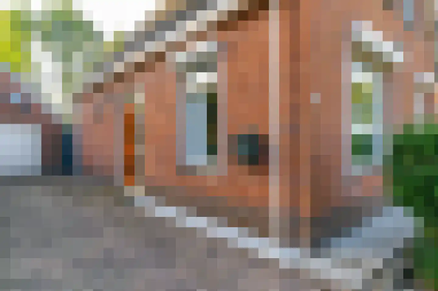 Bramenstraat 8 Jubbega thumbnail 13