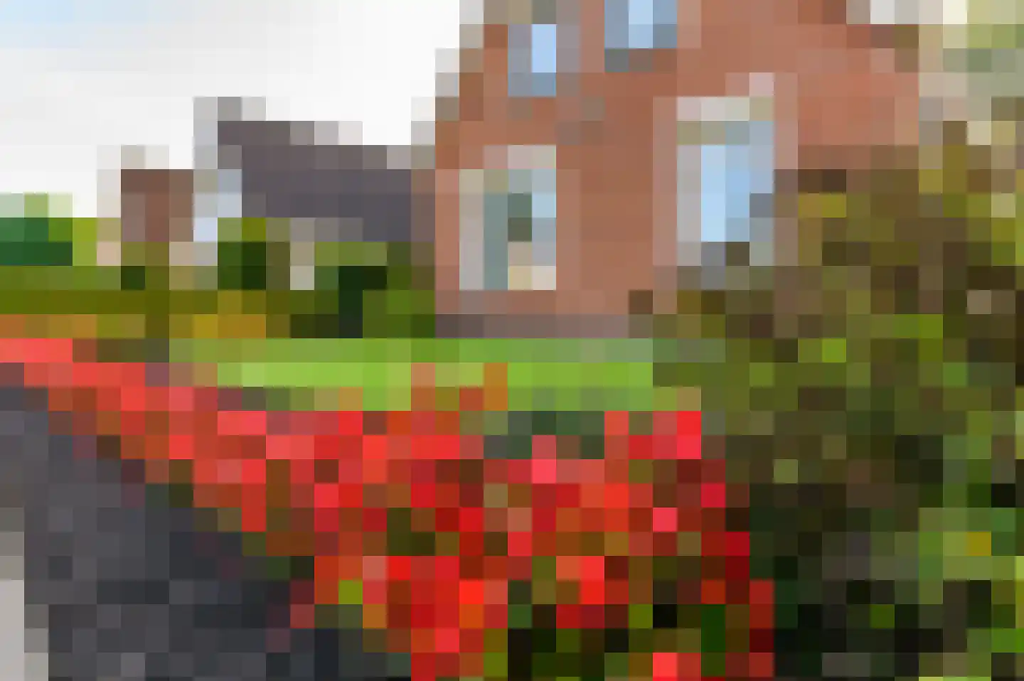 Bramenstraat 8 Jubbega thumbnail 15