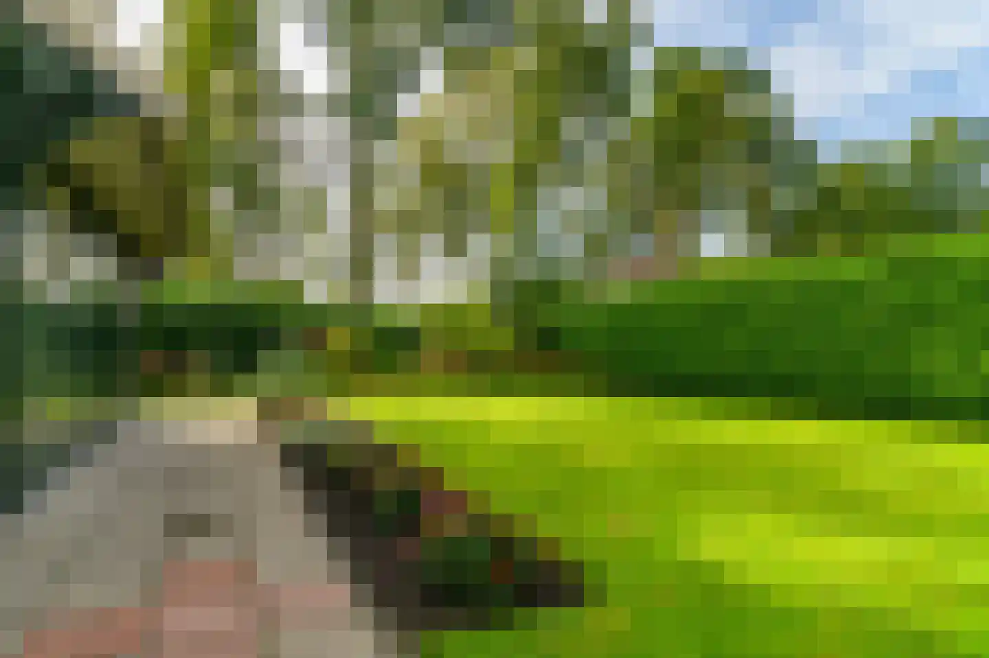 Bramenstraat 8 Jubbega thumbnail 25