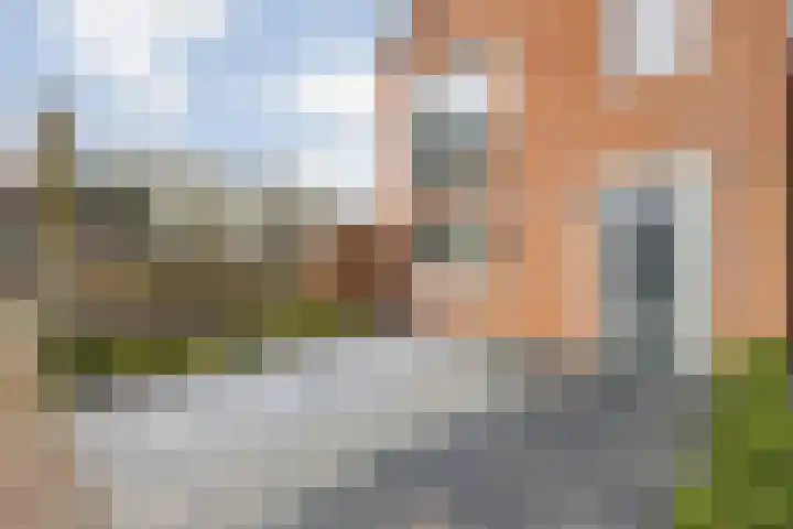 Bramentuin 16 Teteringen thumbnail 11