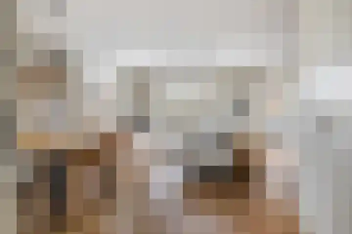 Bramentuin 16 Teteringen thumbnail 16