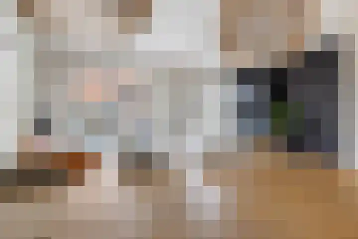 Bramentuin 16 Teteringen thumbnail 21