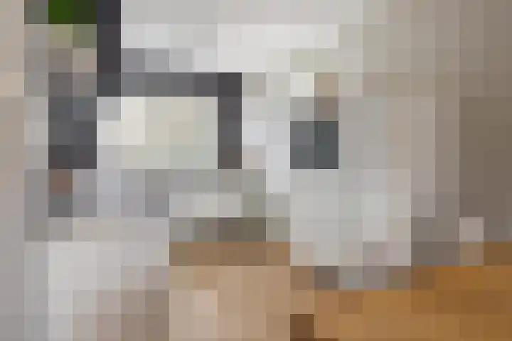 Bramentuin 16 Teteringen thumbnail 27