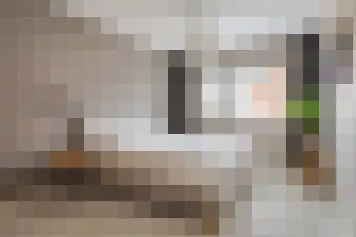 Bramentuin 16 Teteringen thumbnail 4