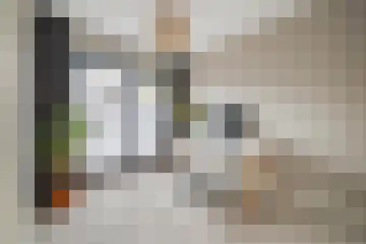 Bramentuin 16 Teteringen thumbnail 43