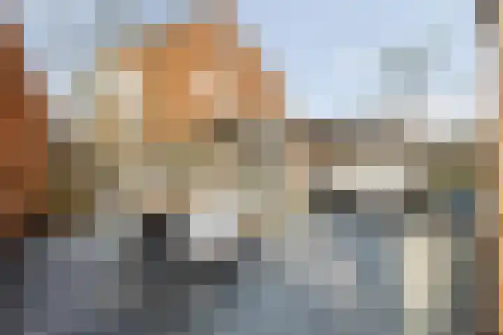Bramentuin 16 Teteringen thumbnail 60