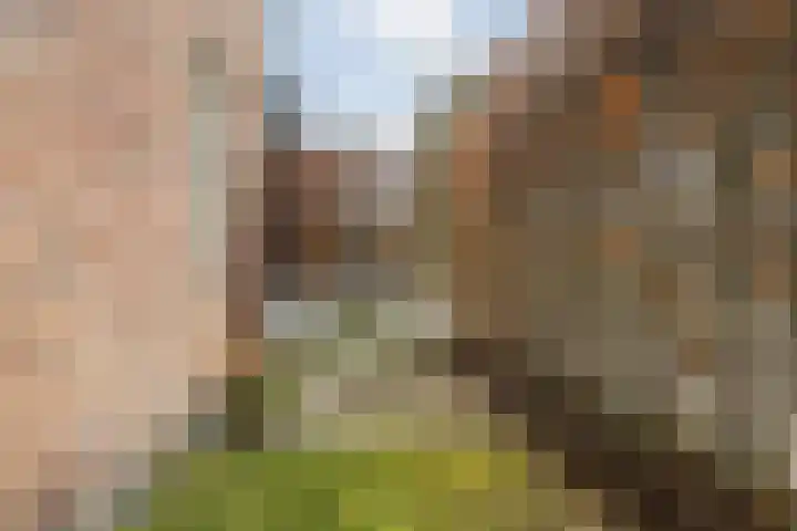 Bramentuin 16 Teteringen thumbnail 63