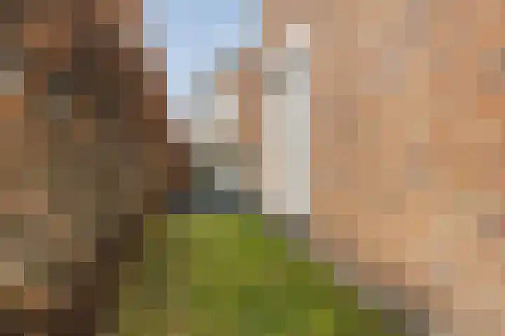 Bramentuin 16 Teteringen thumbnail 64