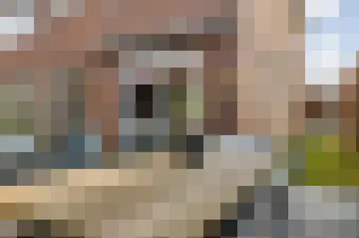 Bramentuin 16 Teteringen thumbnail 65