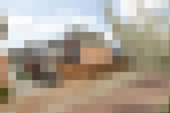 Bramentuin 16 Teteringen thumbnail 68