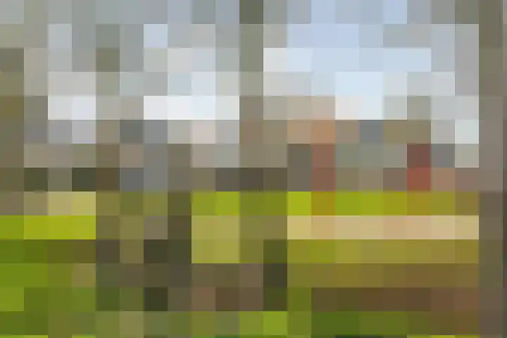 Bramentuin 16 Teteringen thumbnail 70