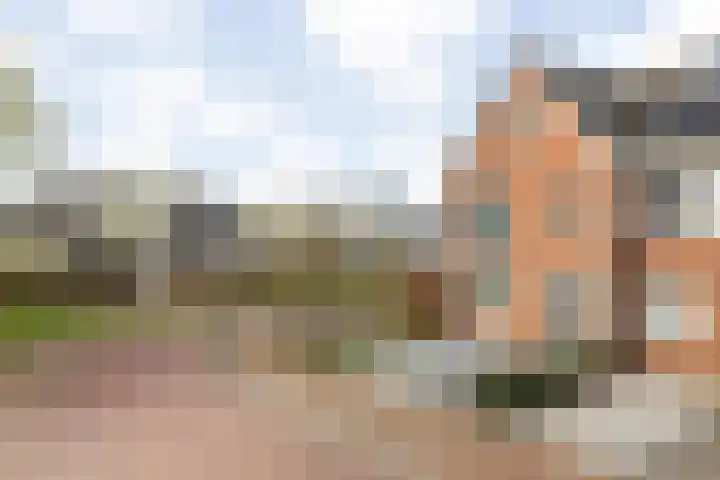 Bramentuin 16 Teteringen thumbnail 8