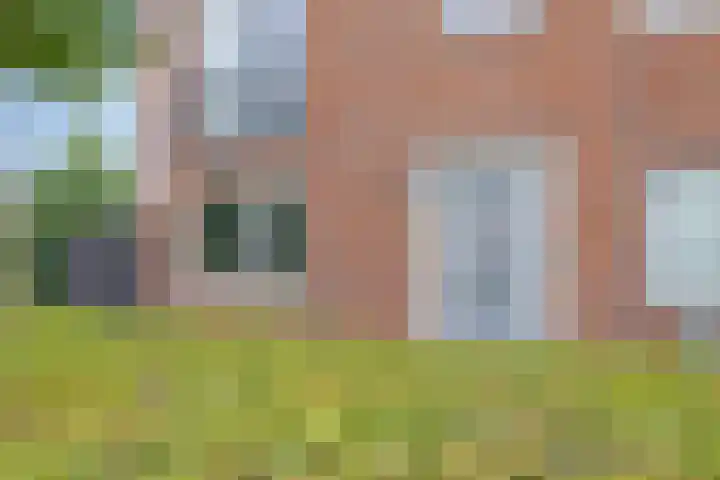 Bramentuin 58 Teteringen thumbnail 4