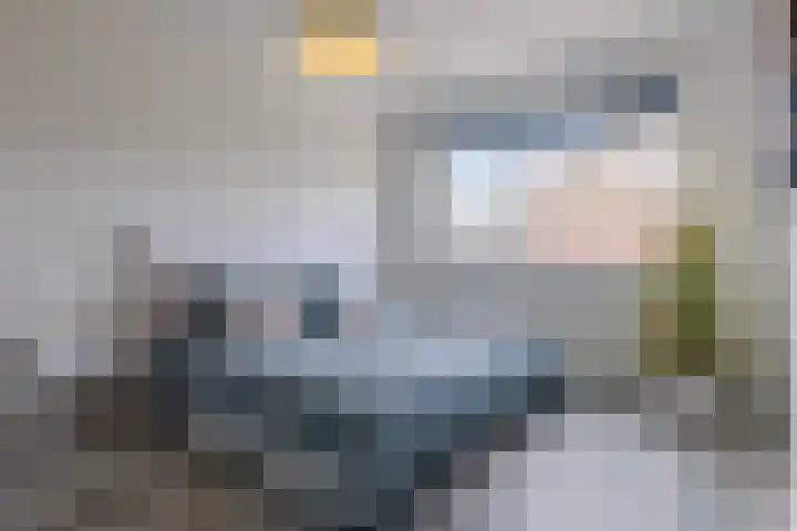 Bramentuin 82 Teteringen thumbnail 13