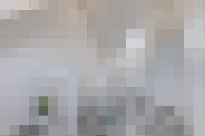 Bramentuin 82 Teteringen thumbnail 22