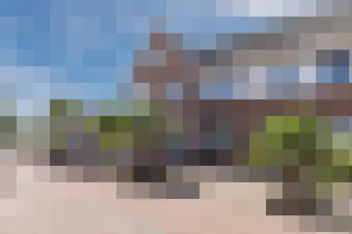 Bramentuin 82 Teteringen thumbnail 33