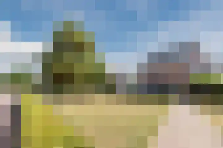 Bramentuin 82 Teteringen thumbnail 36