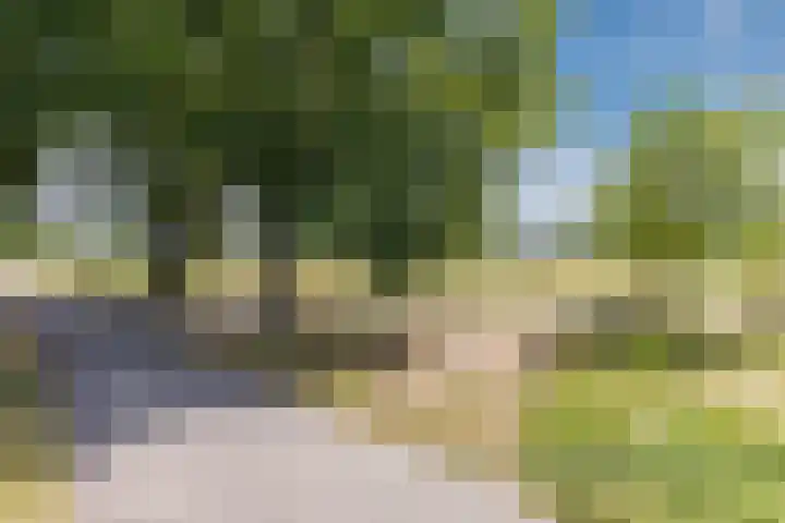 Bramentuin 82 Teteringen thumbnail 37