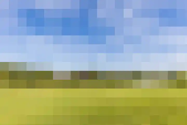 Bramentuin 82 Teteringen thumbnail 38