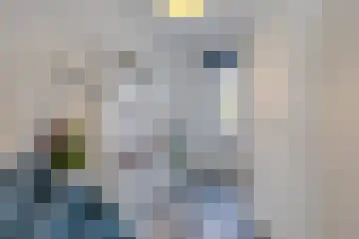 Bramentuin 82 Teteringen thumbnail 5