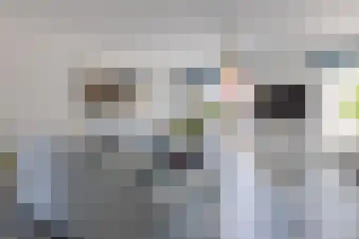 Bramentuin 82 Teteringen thumbnail 6