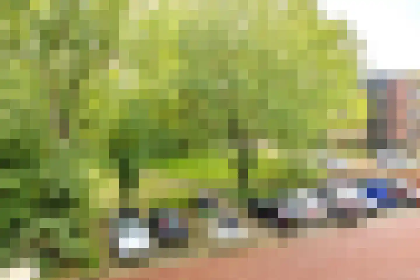 Bramenvlak 12 IJmuiden thumbnail 4