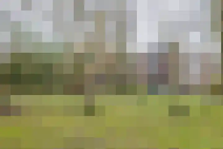 Bramenvlak 30 IJmuiden thumbnail 25