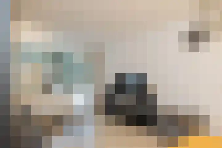 Bramenvlak 30 IJmuiden thumbnail 7