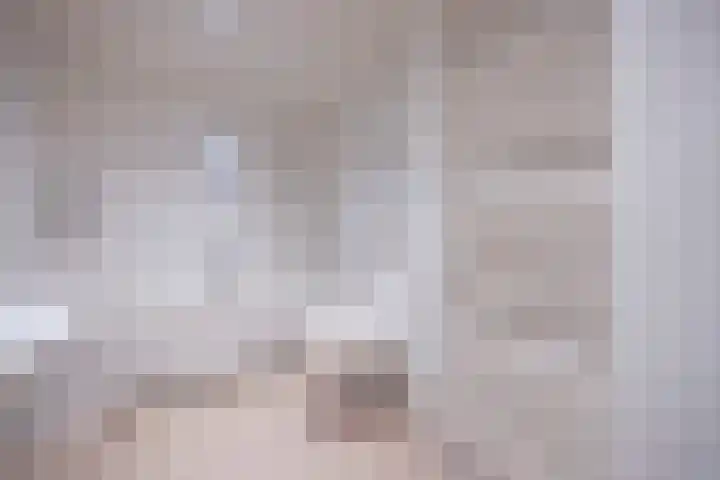 Bramerslandstraat 28 Den Dungen thumbnail 17