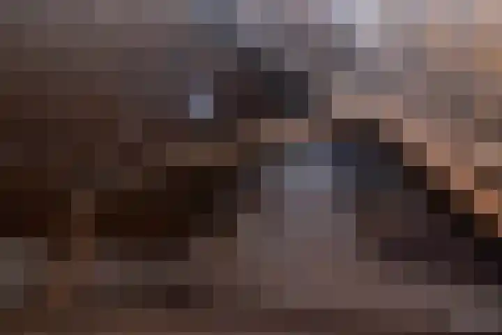 Bramerslandstraat 28 Den Dungen thumbnail 24