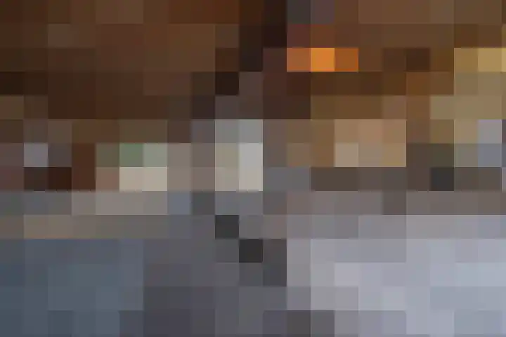 Bramerslandstraat 28 Den Dungen thumbnail 27