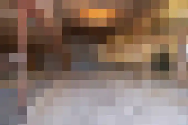 Bramerslandstraat 28 Den Dungen thumbnail 31